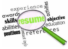 IT or Federal Resume Writing Services (**Do not use this option for non technical roles)